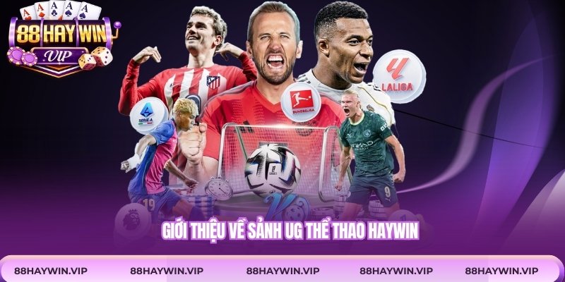 Giới thiệu về sảnh UG thể thao Haywin