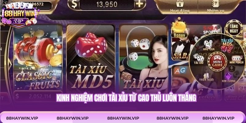 Kinh nghiệm chơi tài xỉu từ cao thủ luôn thắng