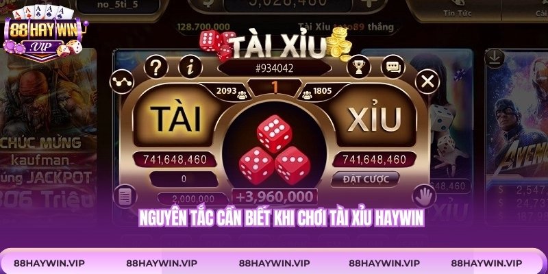 Nguyên tắc cần biết khi chơi tài xỉu Haywin