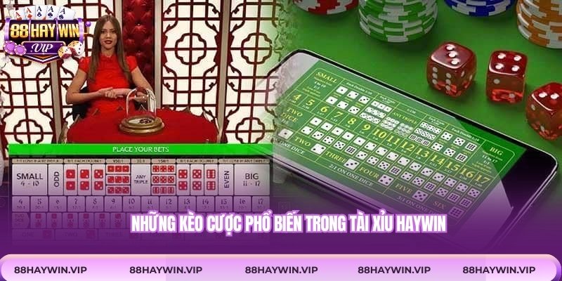 Những kèo cược phổ biến trong tài xỉu Haywin