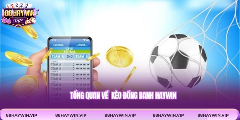 Tổng quan về  kèo đồng banh Haywin